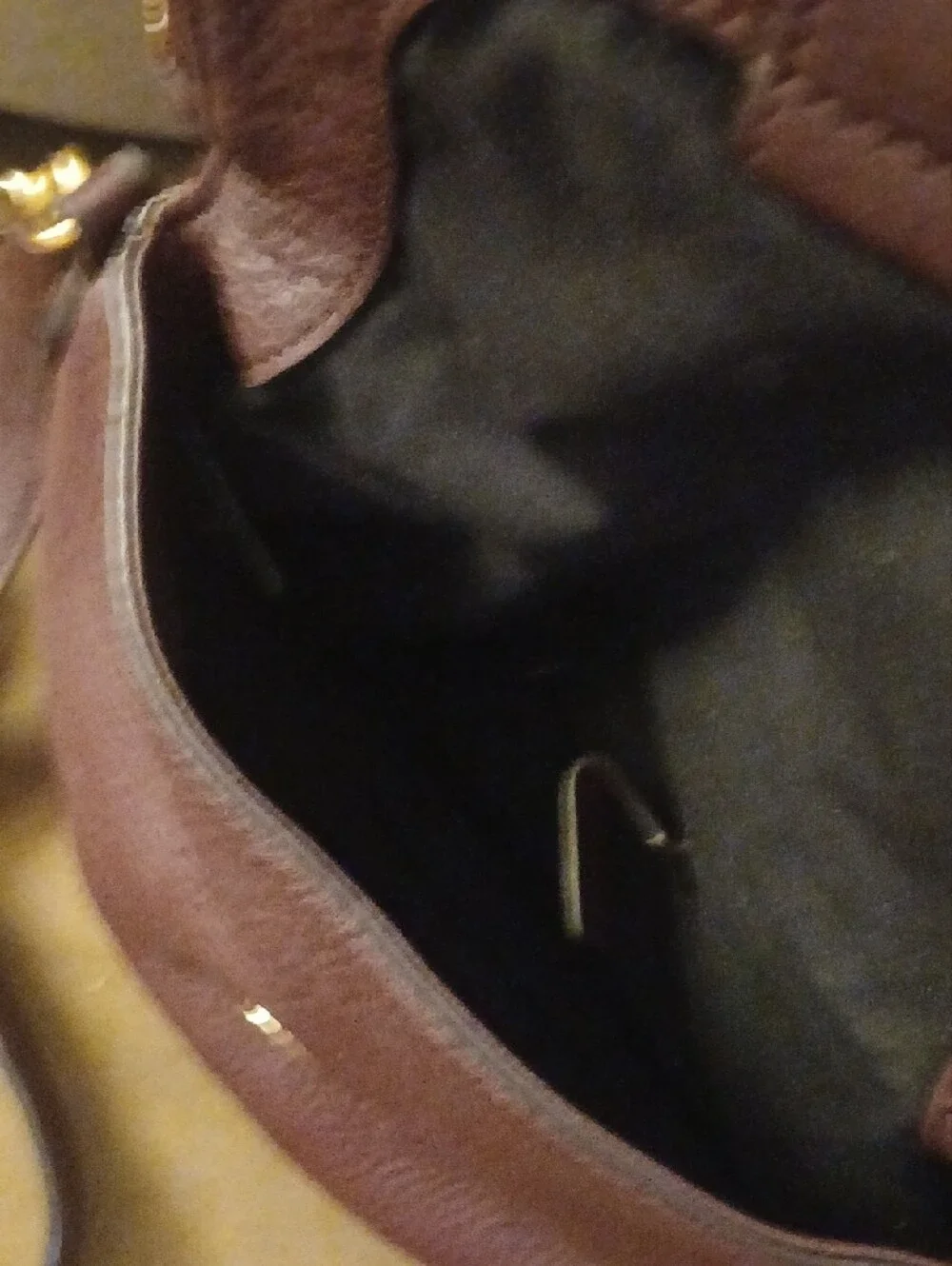 Marc Jacobswomens 's Wine Color  Pebbled Leather Messenger Bag with Gold Plate